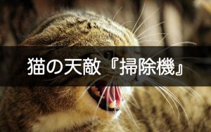 猫の天敵掃除機