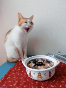 食事前の猫