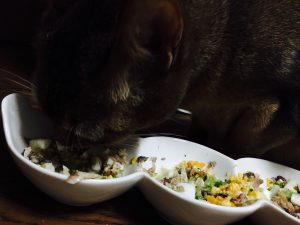 猫ご飯4日目-2